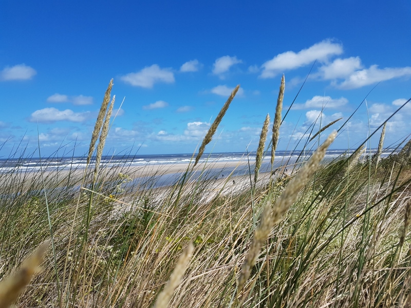 Spiekeroog Strand