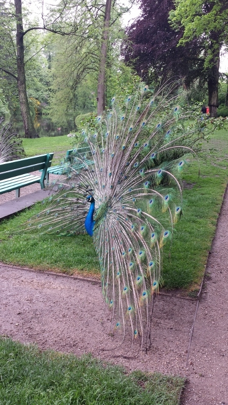 Jever Schlosspark