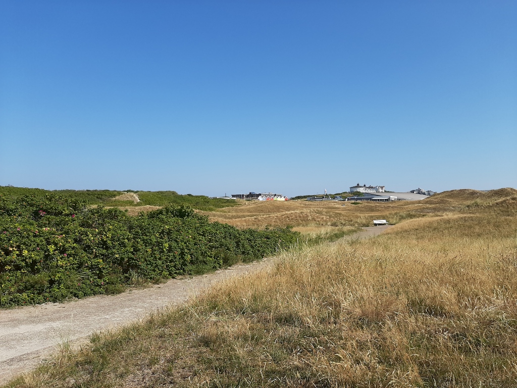 Wangerooge Dünen