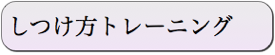 しつけ方トレーニング