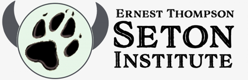 Cropped-cropped ETS-Logo Transparent