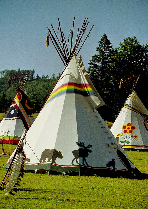 Tiere-Tipi 1996