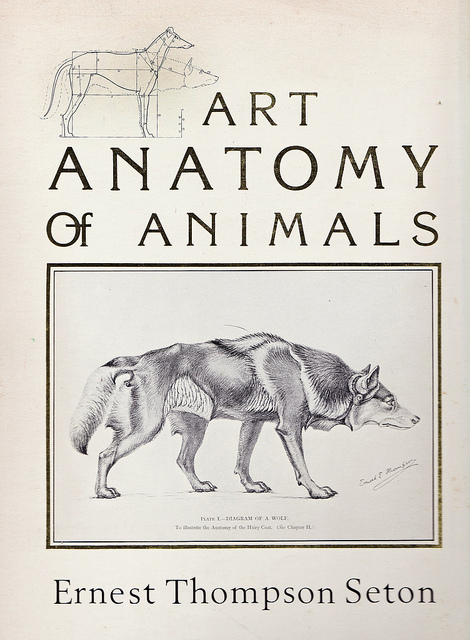 Buch-Cover Art Anatomy of Animals