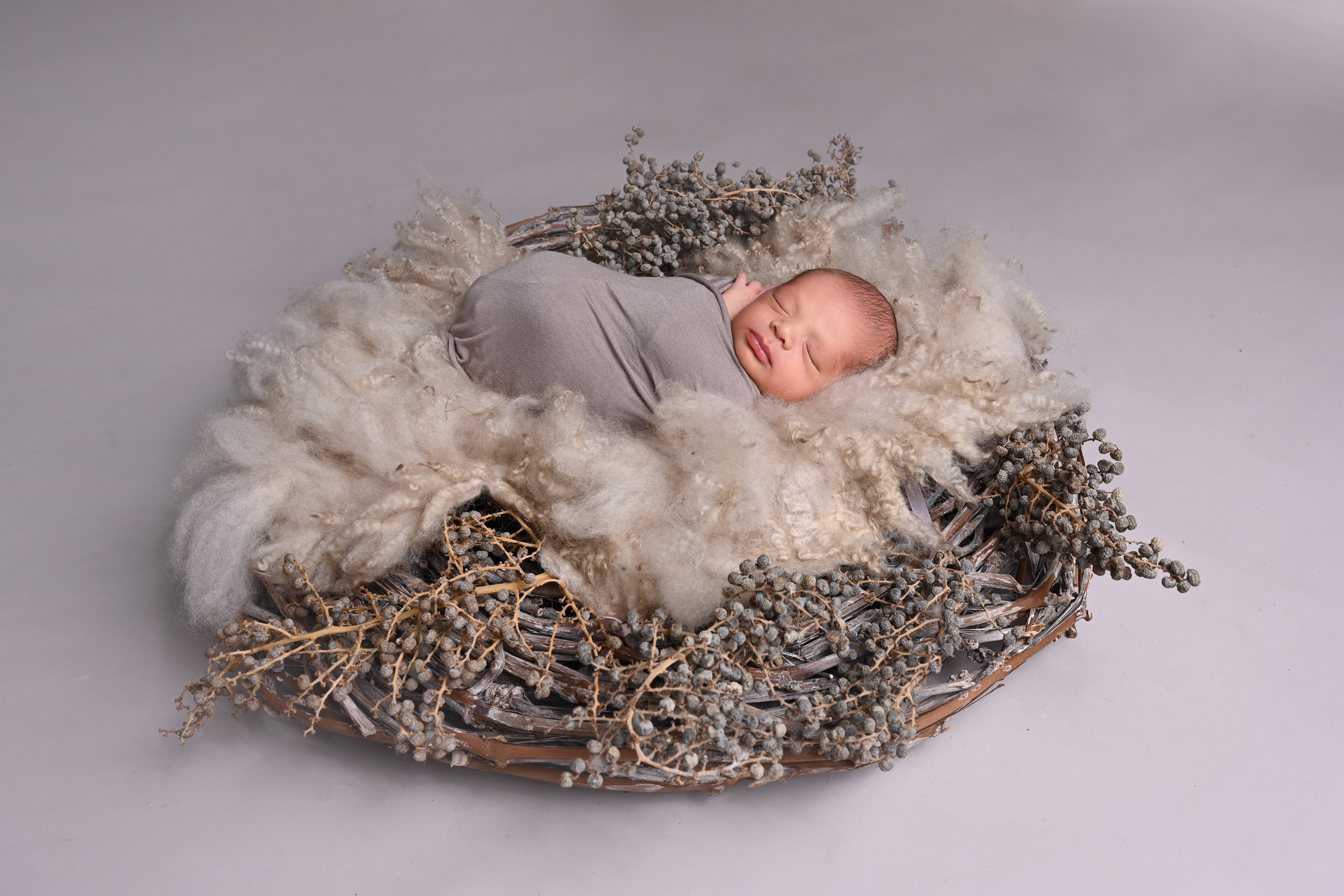 newbornshoot studio hellevoetsluis