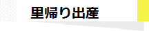 里帰り出産