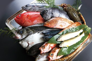 （妊婦が食べて良い魚・ダメな魚）