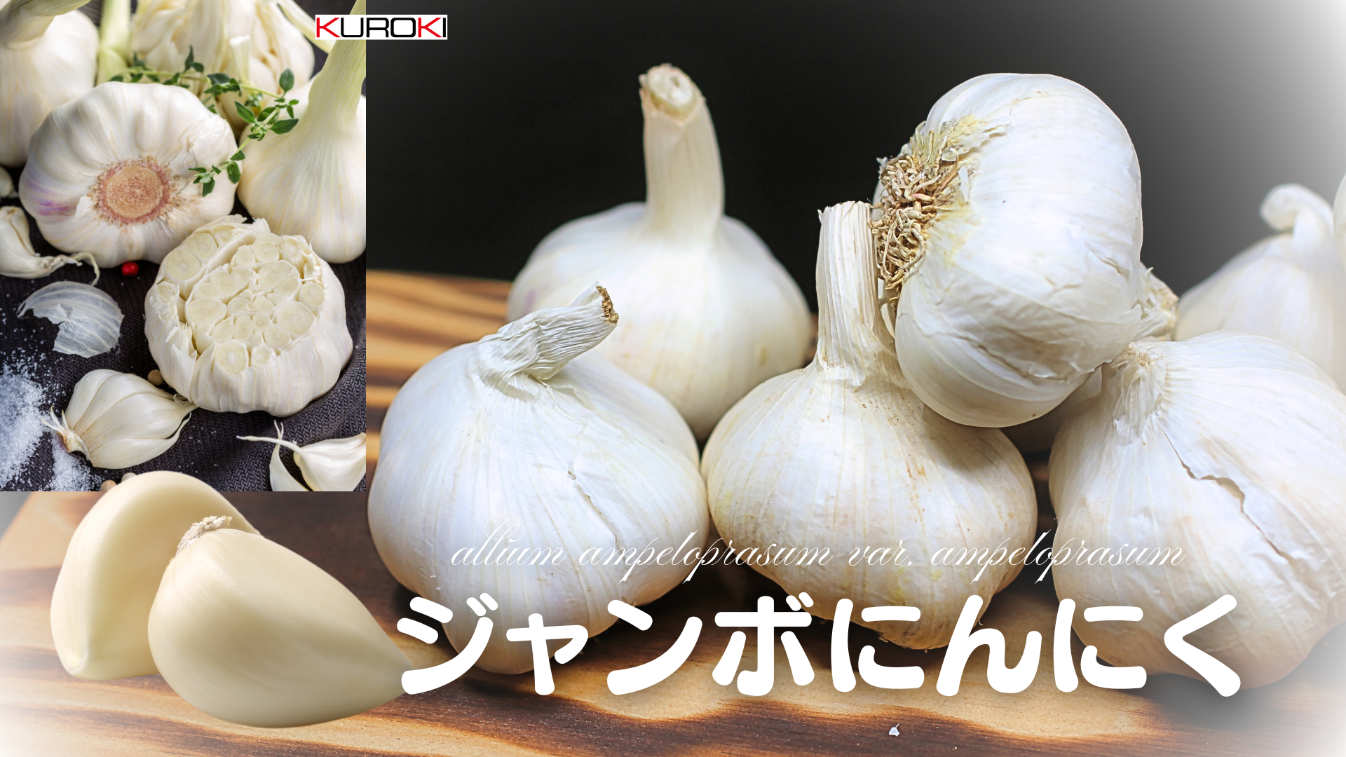 収穫までもう少し‼「ジャンボニンニク」