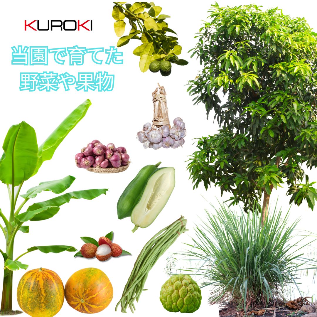 当園で育てたタイの野菜やタイの果物
