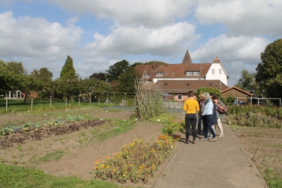 Im Gemüsegarten