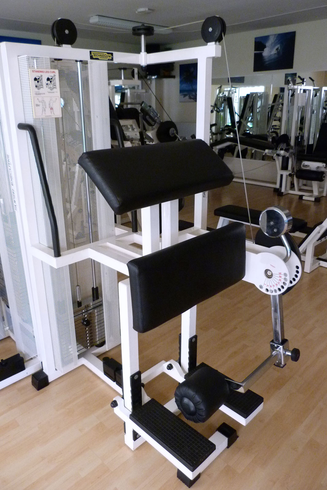 Standing leg curl technogym hotsell