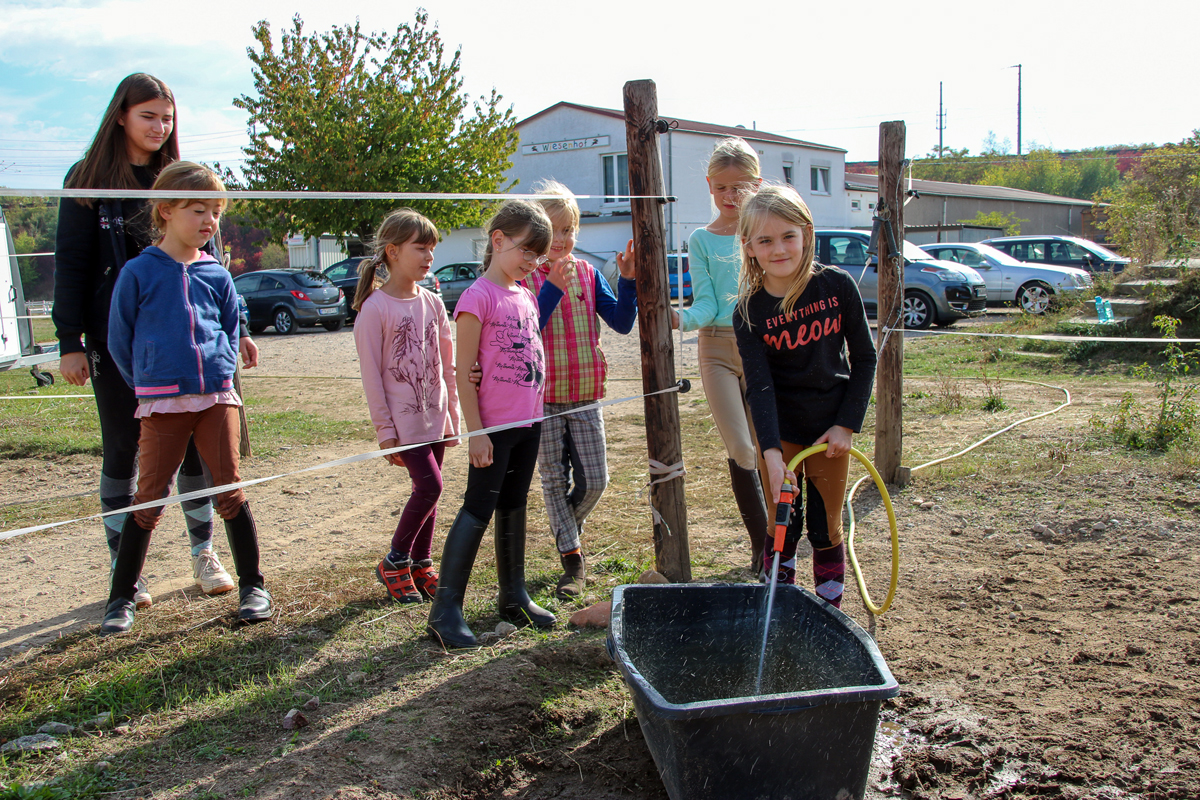 ... und die Wasserbottiche für die Pferde auf den Paddocks nachgefüllt