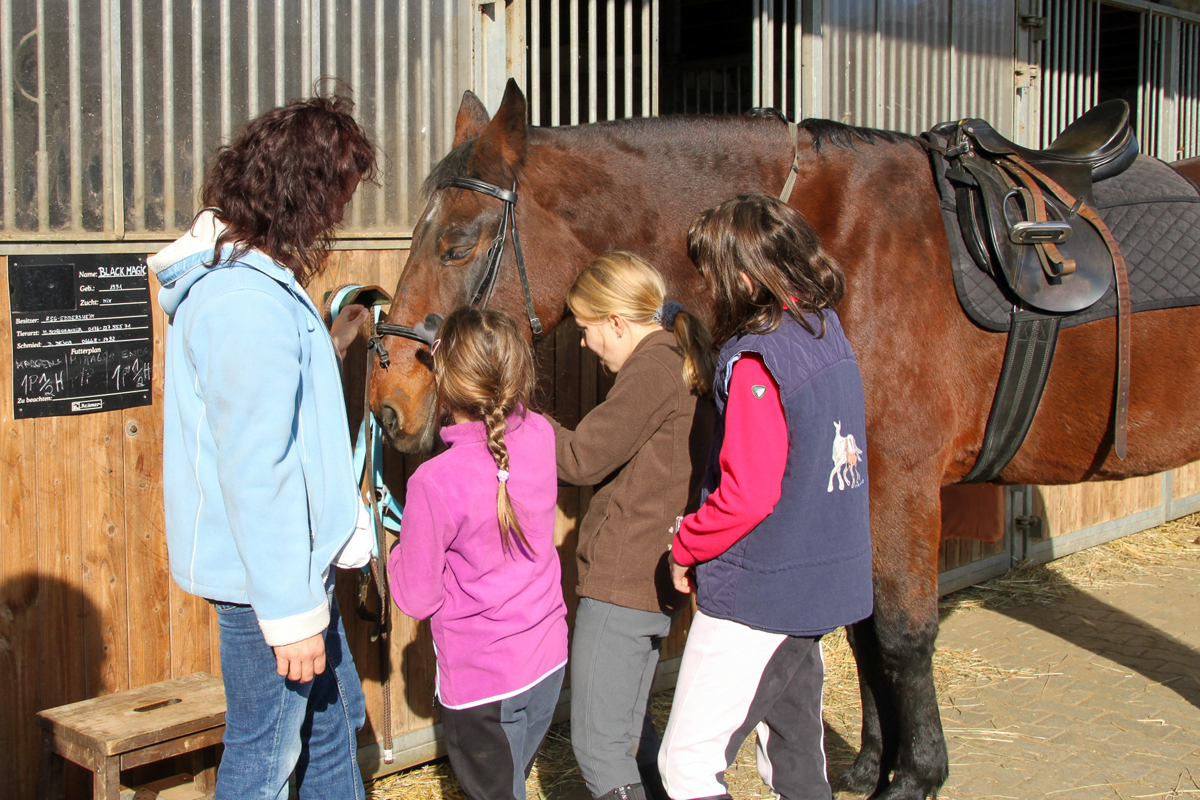 6. November 2011: Wieder eine Prüfung zum "Steckenpferd Reiten"