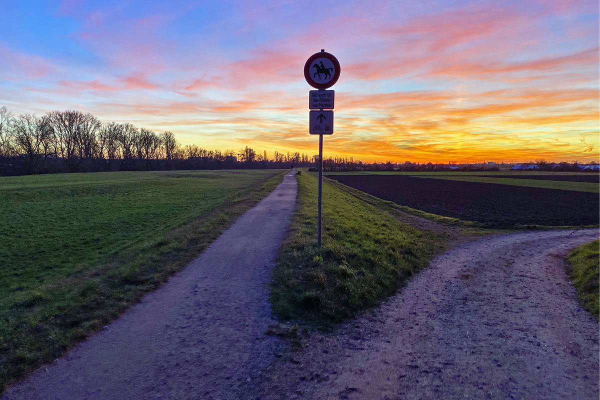Neuigkeiten zur Deichsanierung