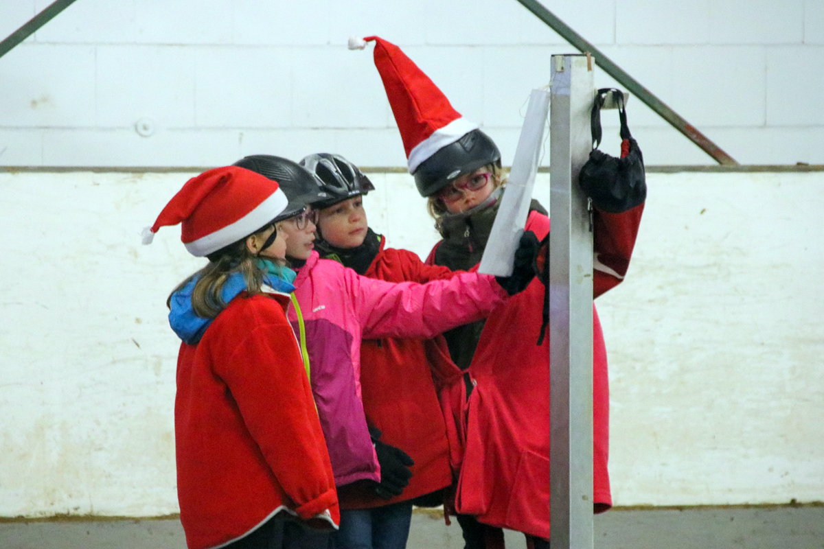 3. Dezember 2017: Weihnachtsfeier auf dem Wiesenhof