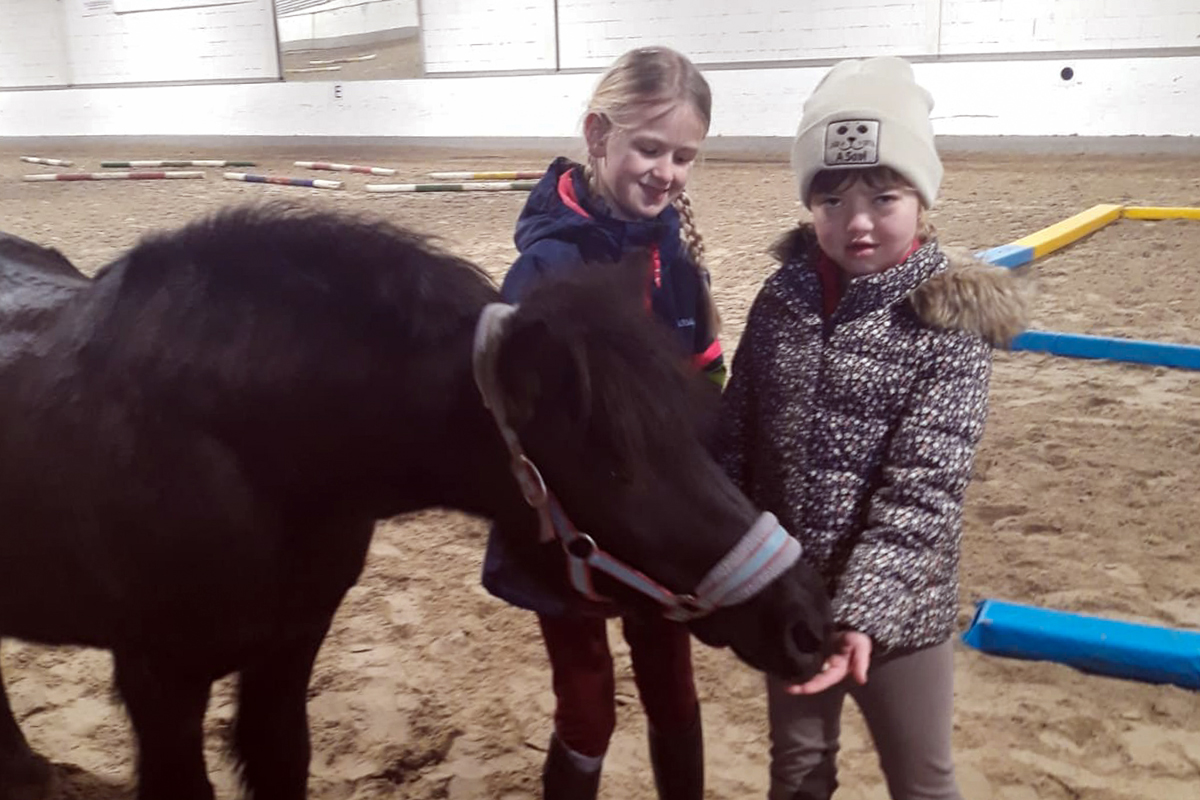 2. Februar 2019: Bodenarbeit mit Schulpony Jenny...