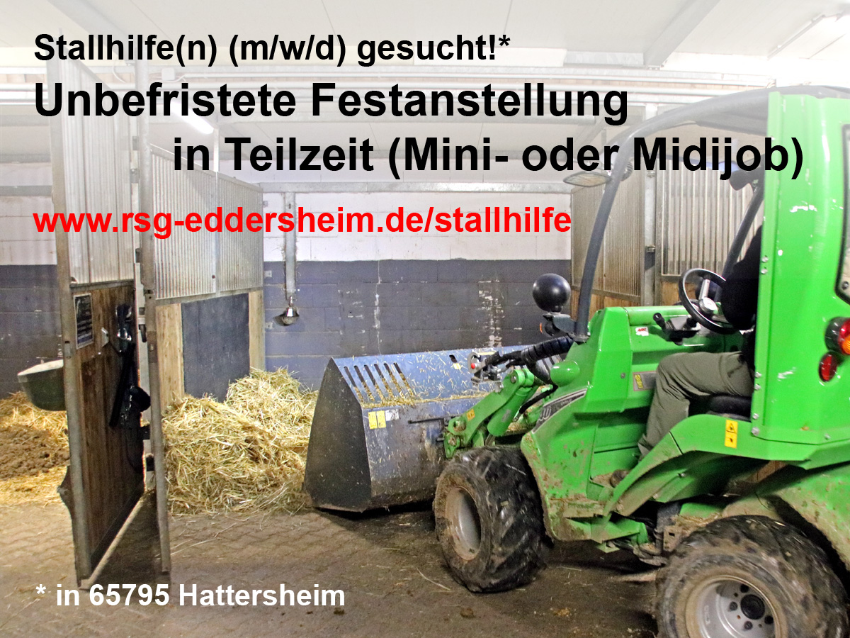 Stallhilfe (m/w/d) in Teilzeit gesucht