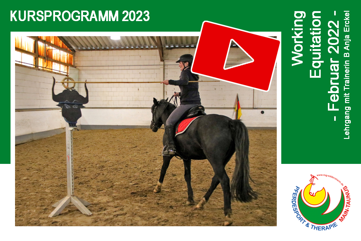 Neues Video: Working Equitation