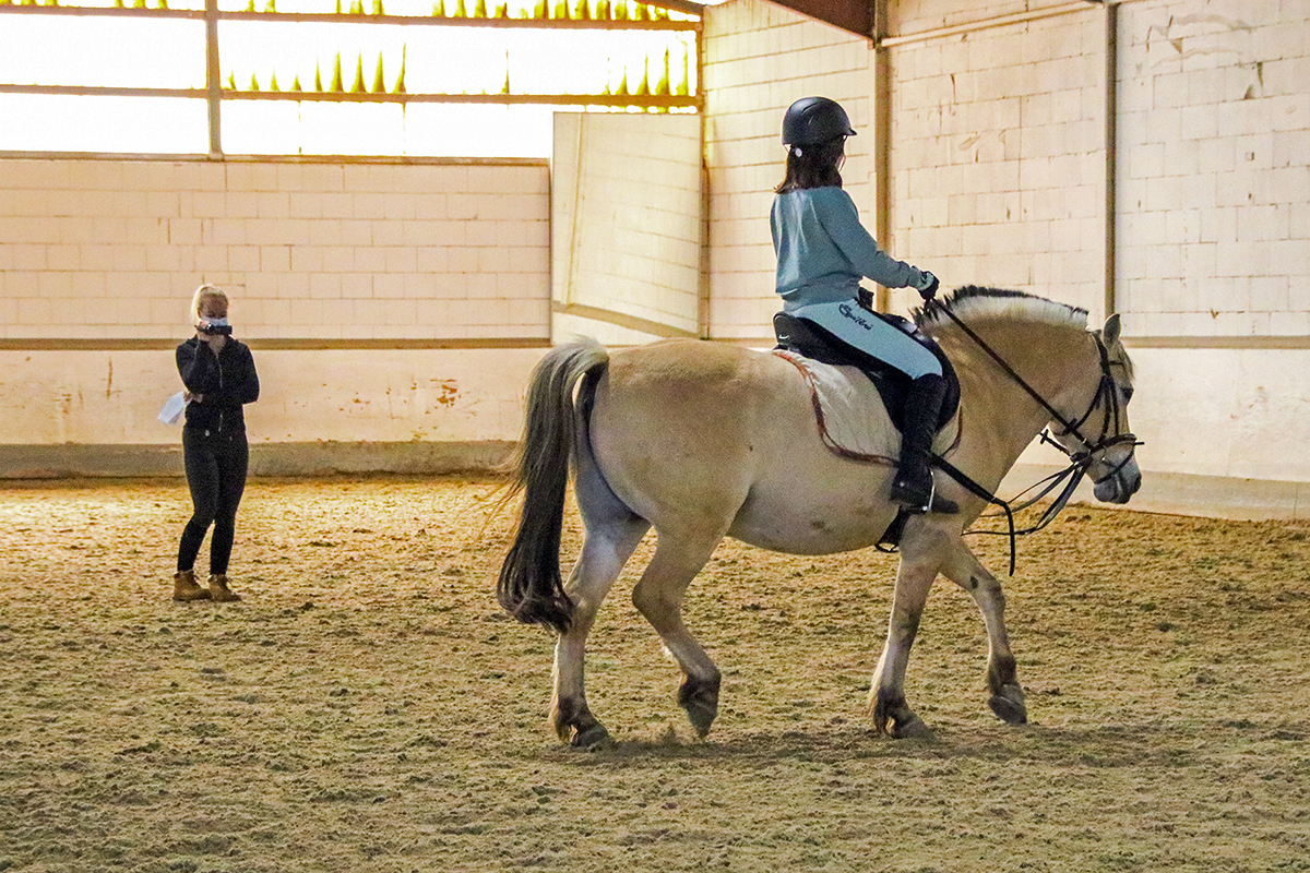 Turnier-Training im November