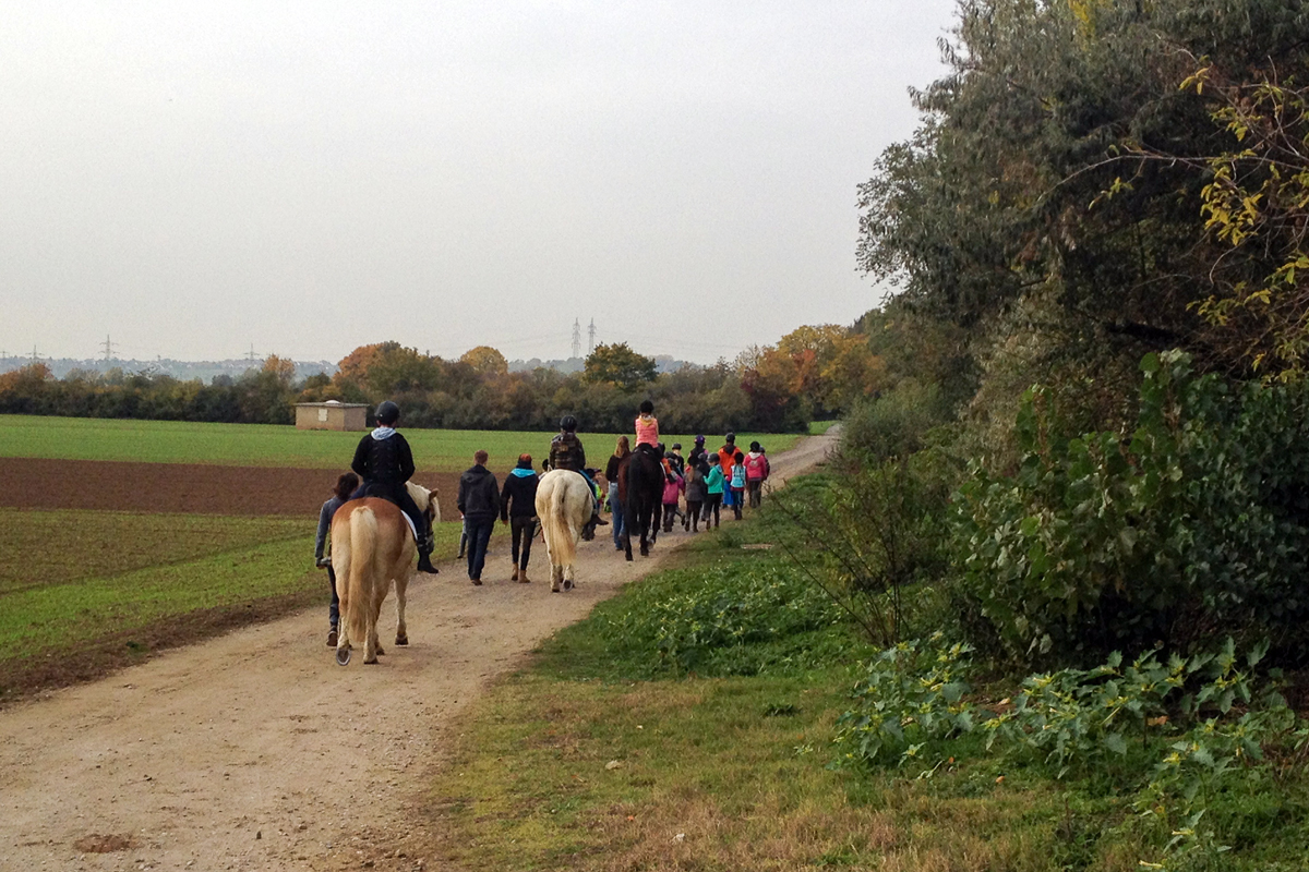 24. Oktober 2015: Ausritt und Spaziergang