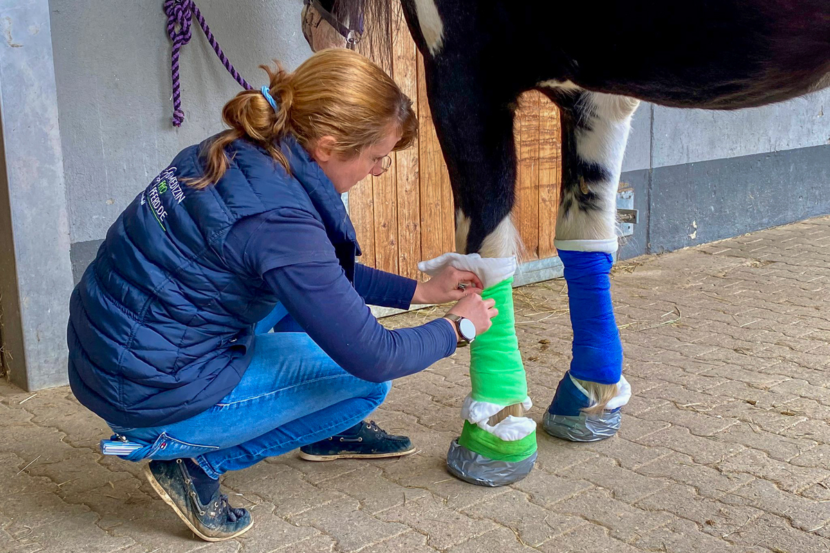 Erste Hilfe am und fürs Pferd