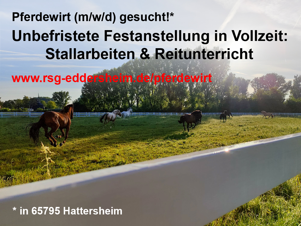 Pferdewirt (m/w/d) gesucht