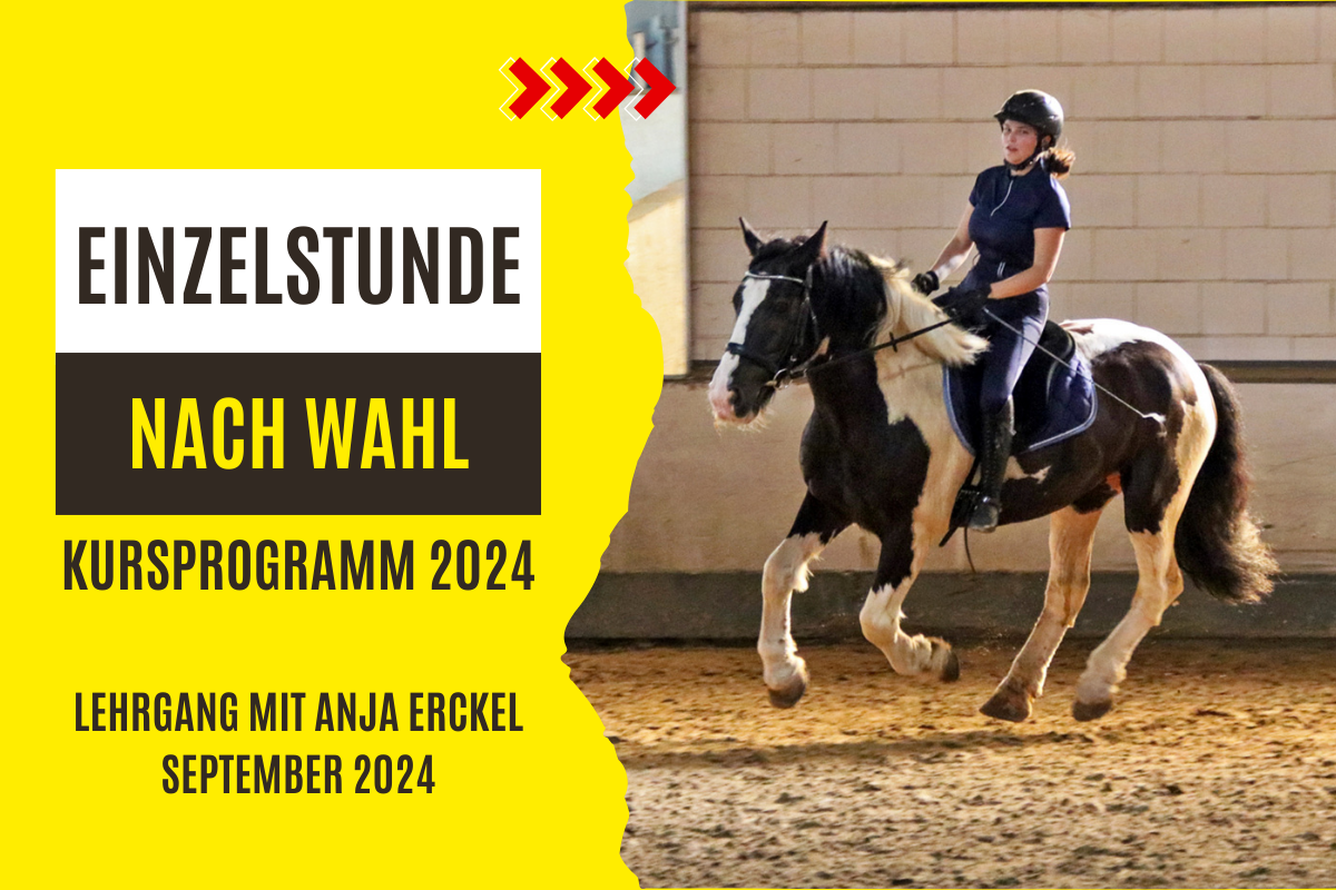 Neues Video: Einzelstunden