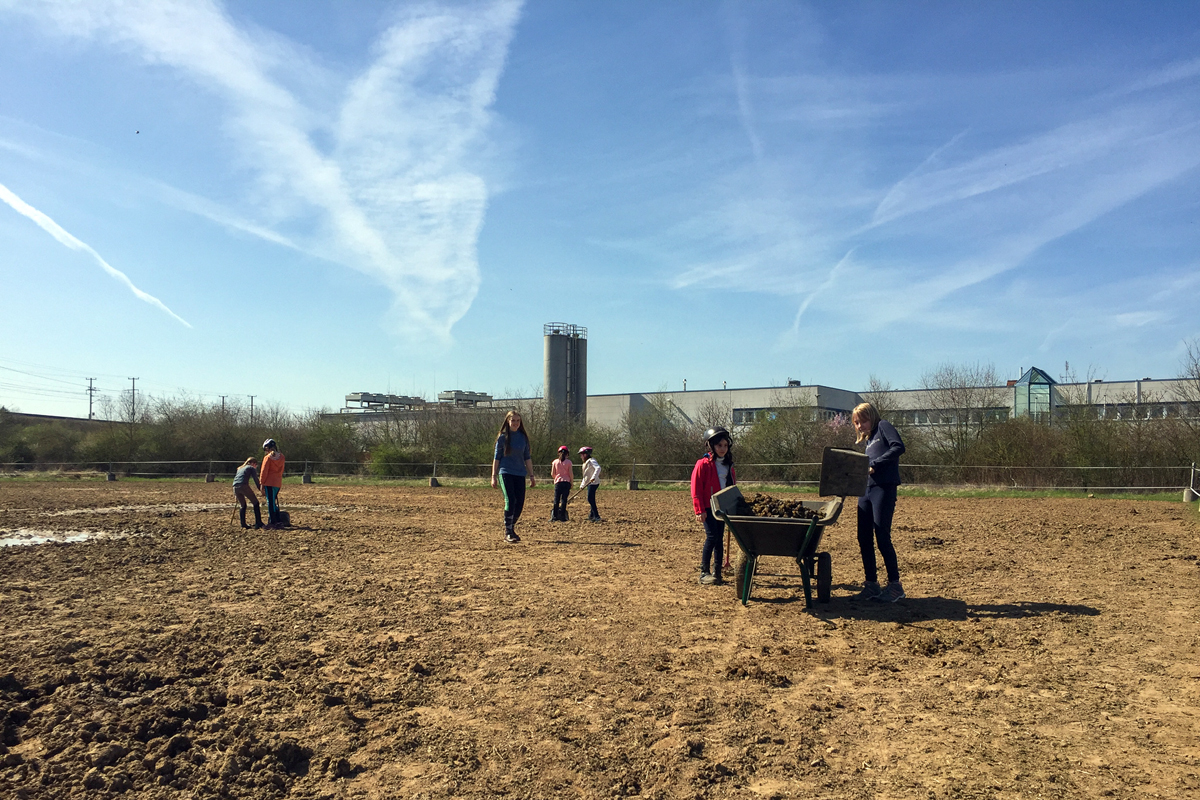 18. April 2018: Stallordnung oder, wie hier, das Abäppeln des Paddocks gehört dazu