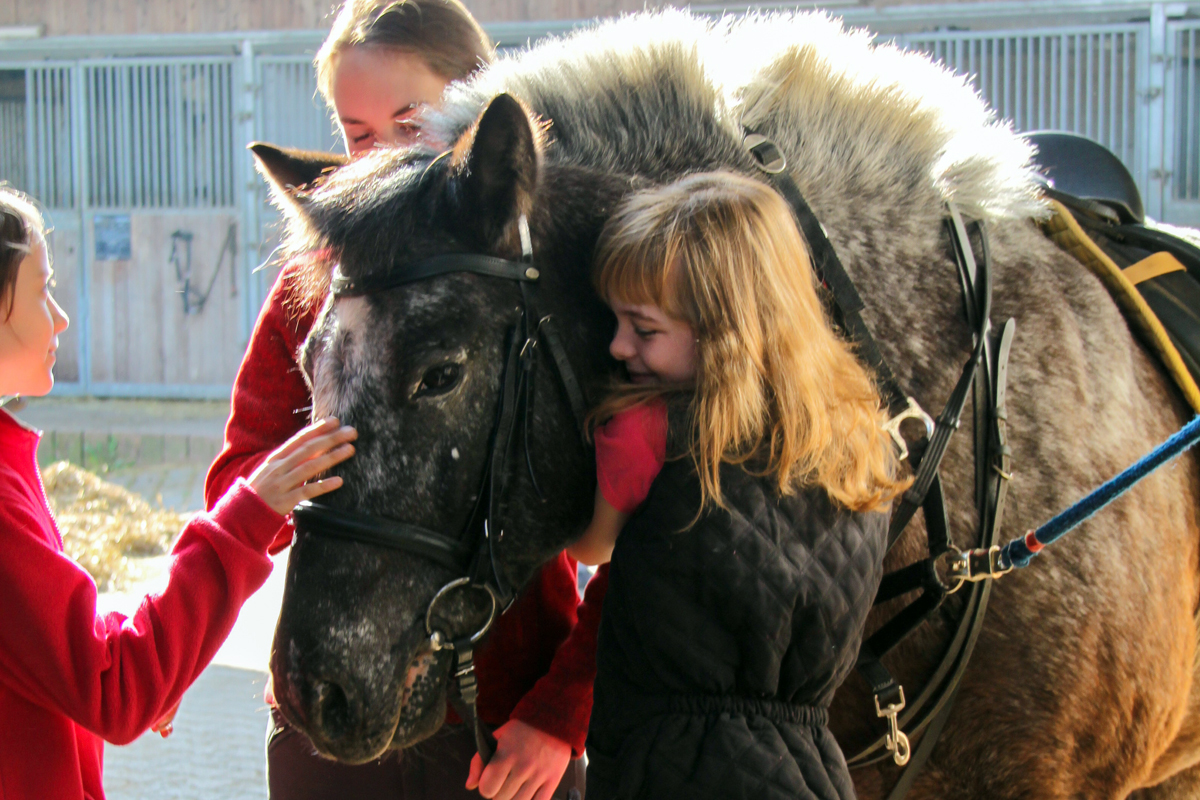 Kuschel-Einheit für unser Schulpony Zottel