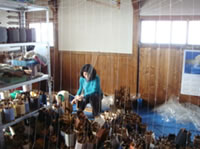 企業情報 - silktown ページ！