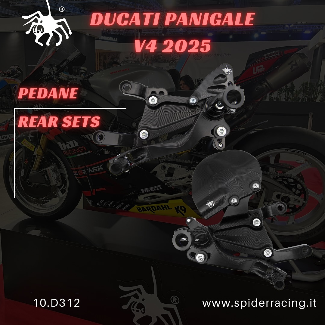 PANIGALE V4 - RAID-ZERO PANIGALE V4 - RAID-ZERO
