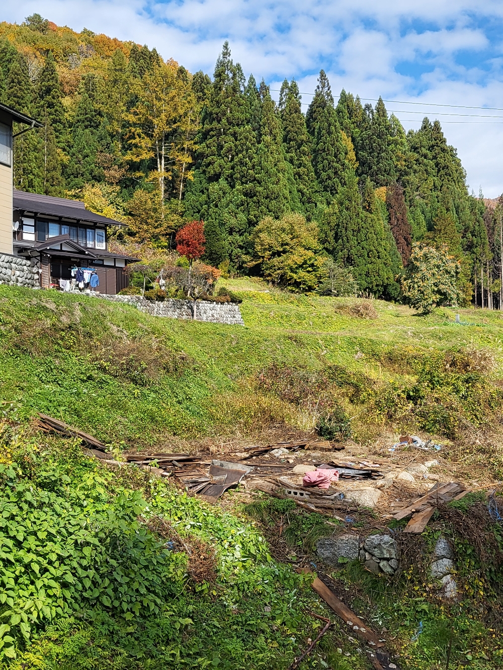 お陰様で一日で解体完了。後は、必要な材料を加工して建てる段取りをするだけです。