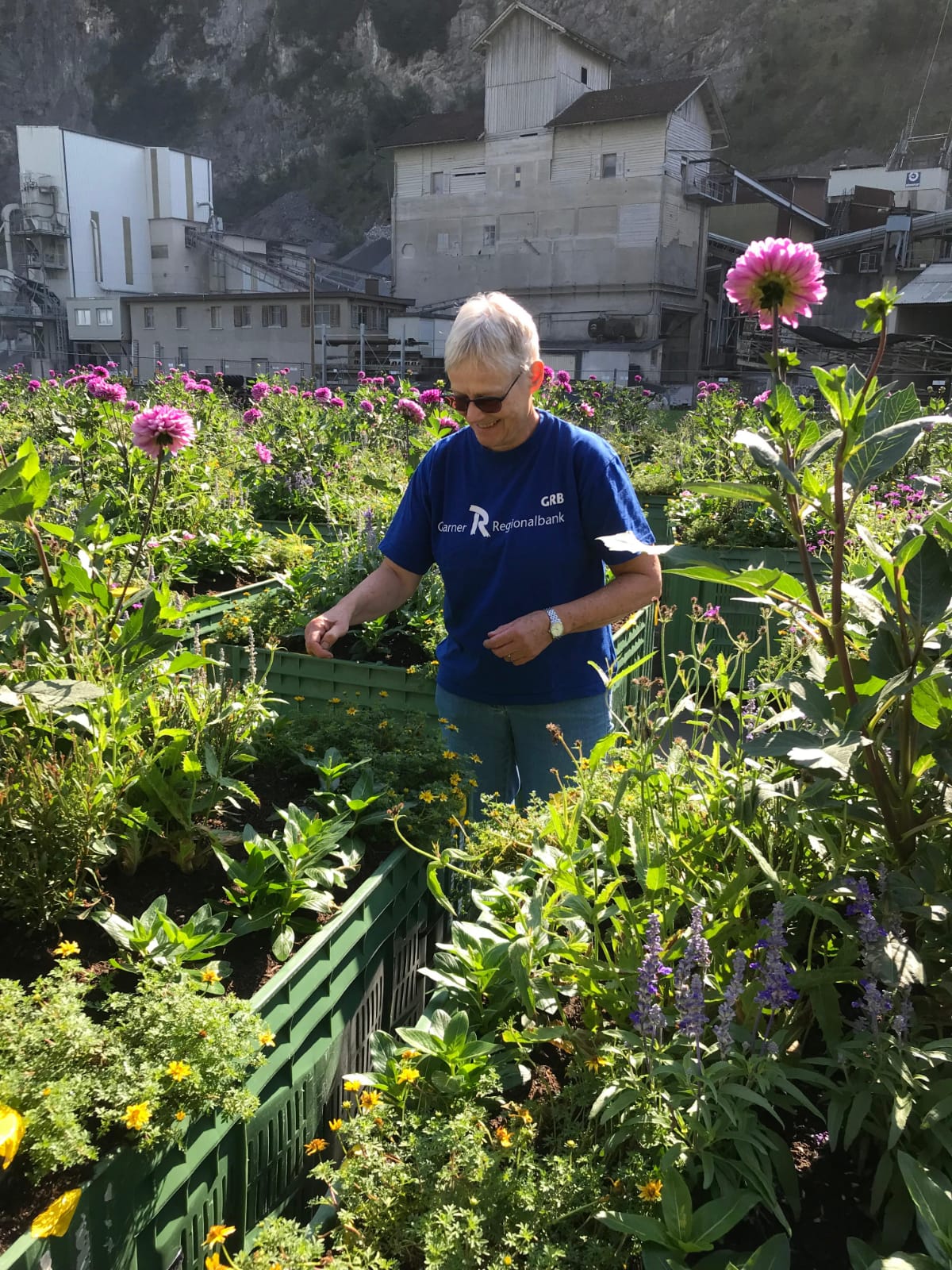 für die vielen Blumengestecke auf dem ganzen Festgelände gab es einiges an Arbeit