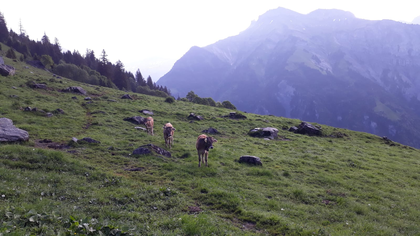 Auf dem Weg zur Arbeit