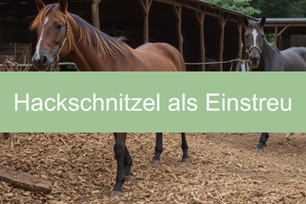 Hackschnitzel als Einstreu