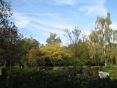 Herbst auf dem Kellersberger Friedhof (Foto: Wolfgang Voigt)