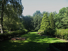 Grauschnäpper-Revier auf dem Nordfriedhof (Foto: Wolfgang Voigt)