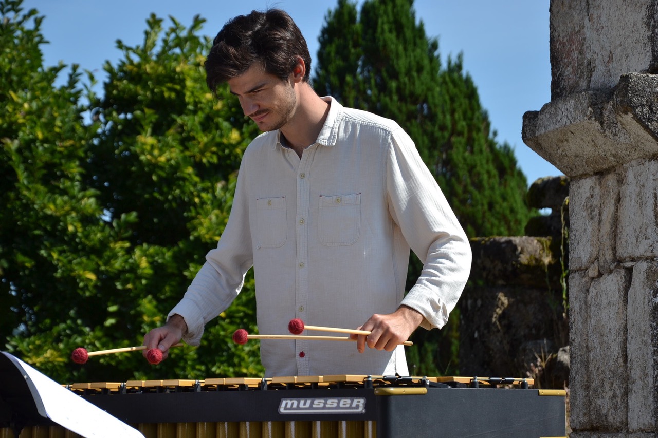 François VALLET, percussions