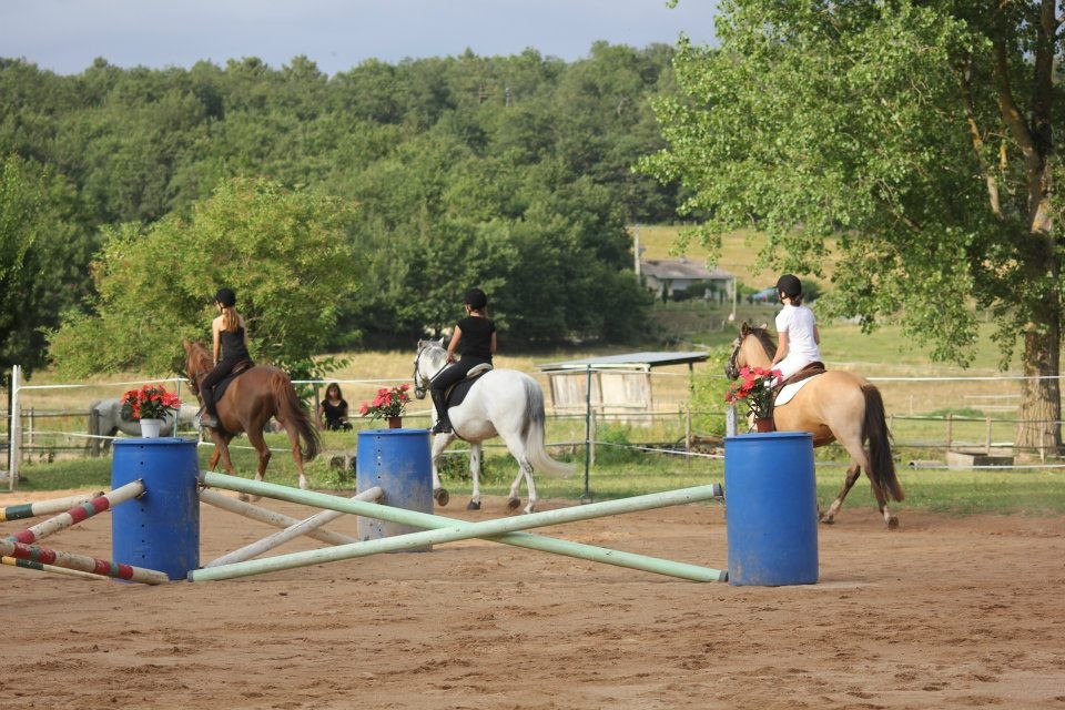 Carrousel obstacles