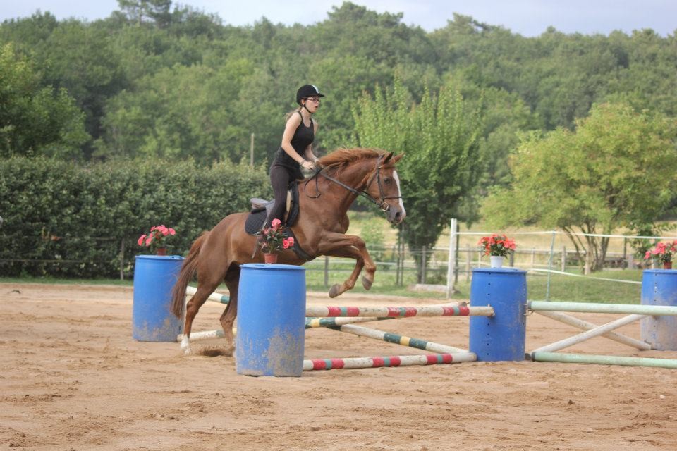 Carrousel obstacles