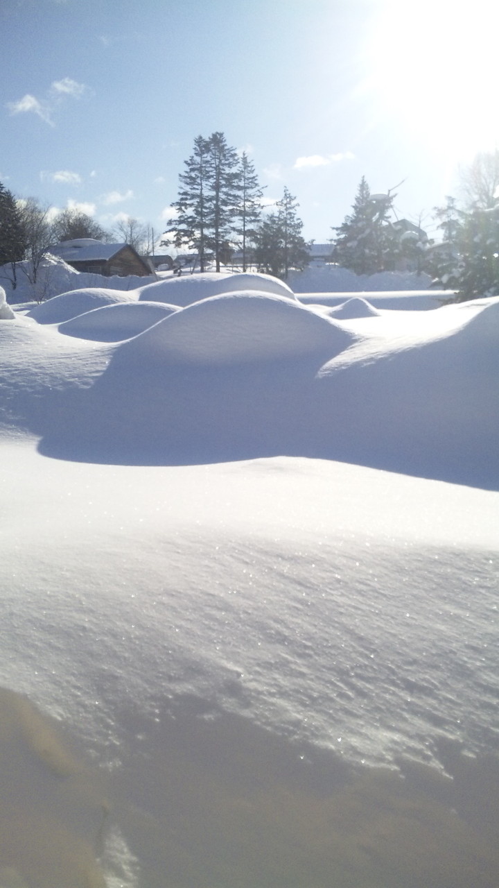 庭の積雪は数メートル