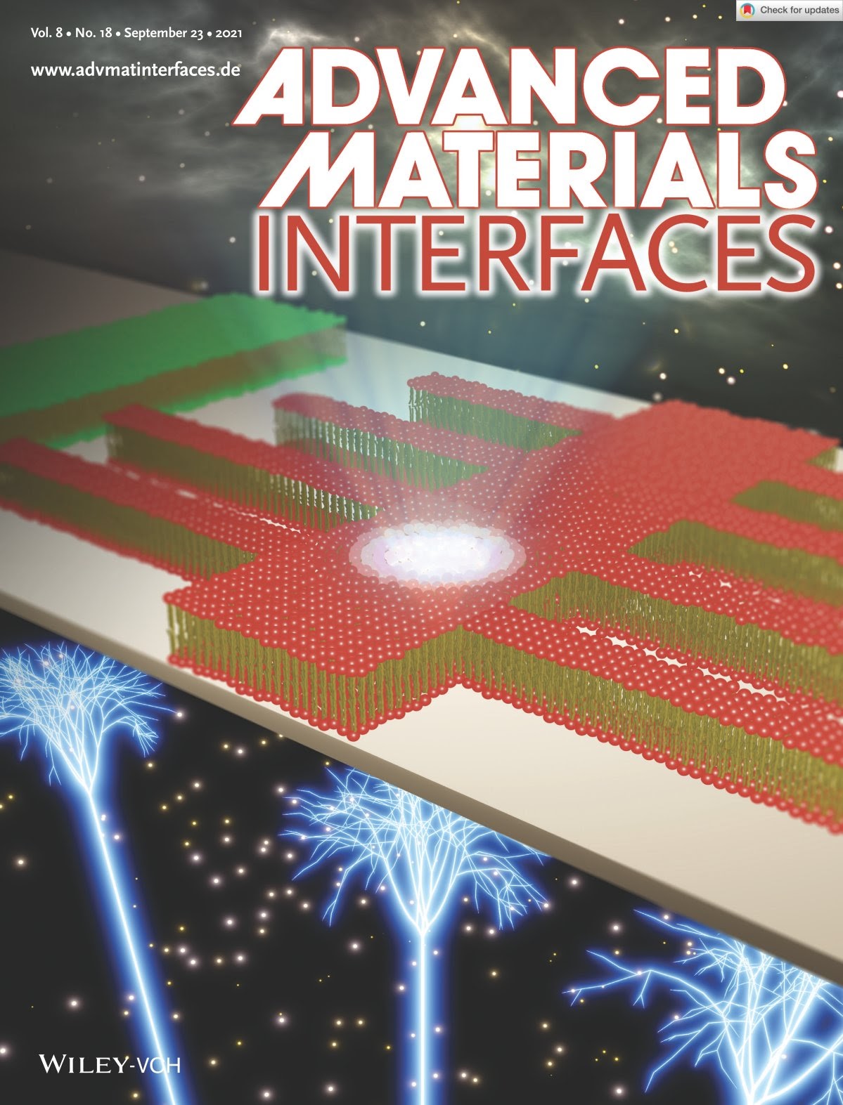 Advanced Materials Interfacesでバックカバーに選出 [doi:10.1002/admi.202170101]