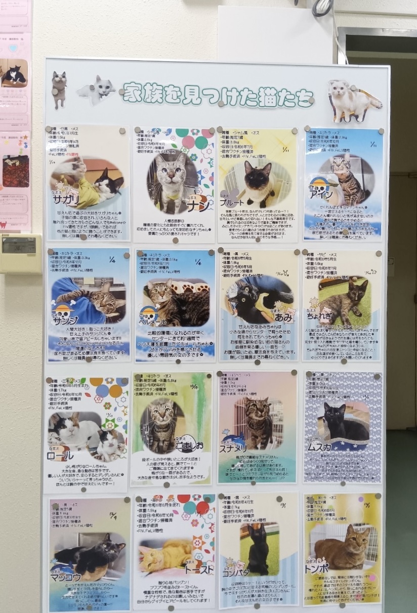 可愛い家族を迎えたい皆様へ