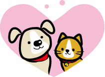 いつも、ありがとうございます♪