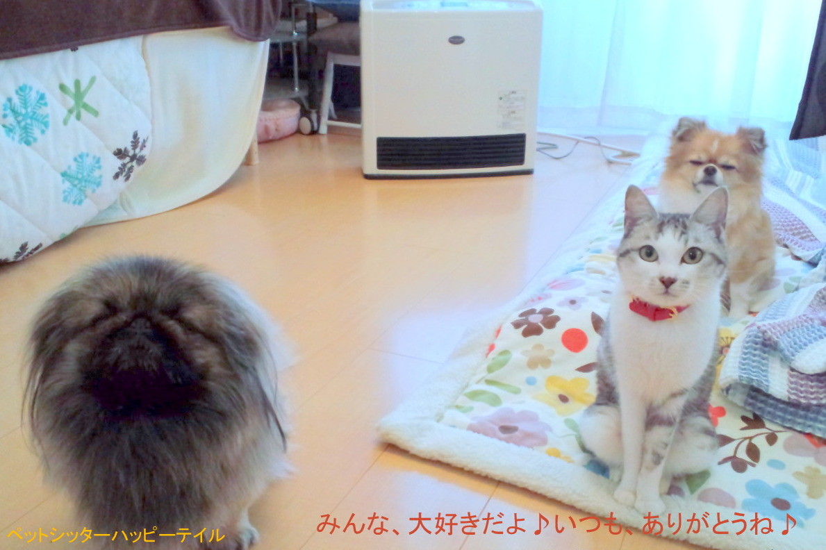 みんな可愛いのです♡いつもありがとう♪