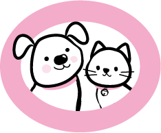 ♥保健所から、迎える子にはハッピーがいっぱい訪れるよ❤