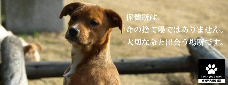 保健所犬猫応援団