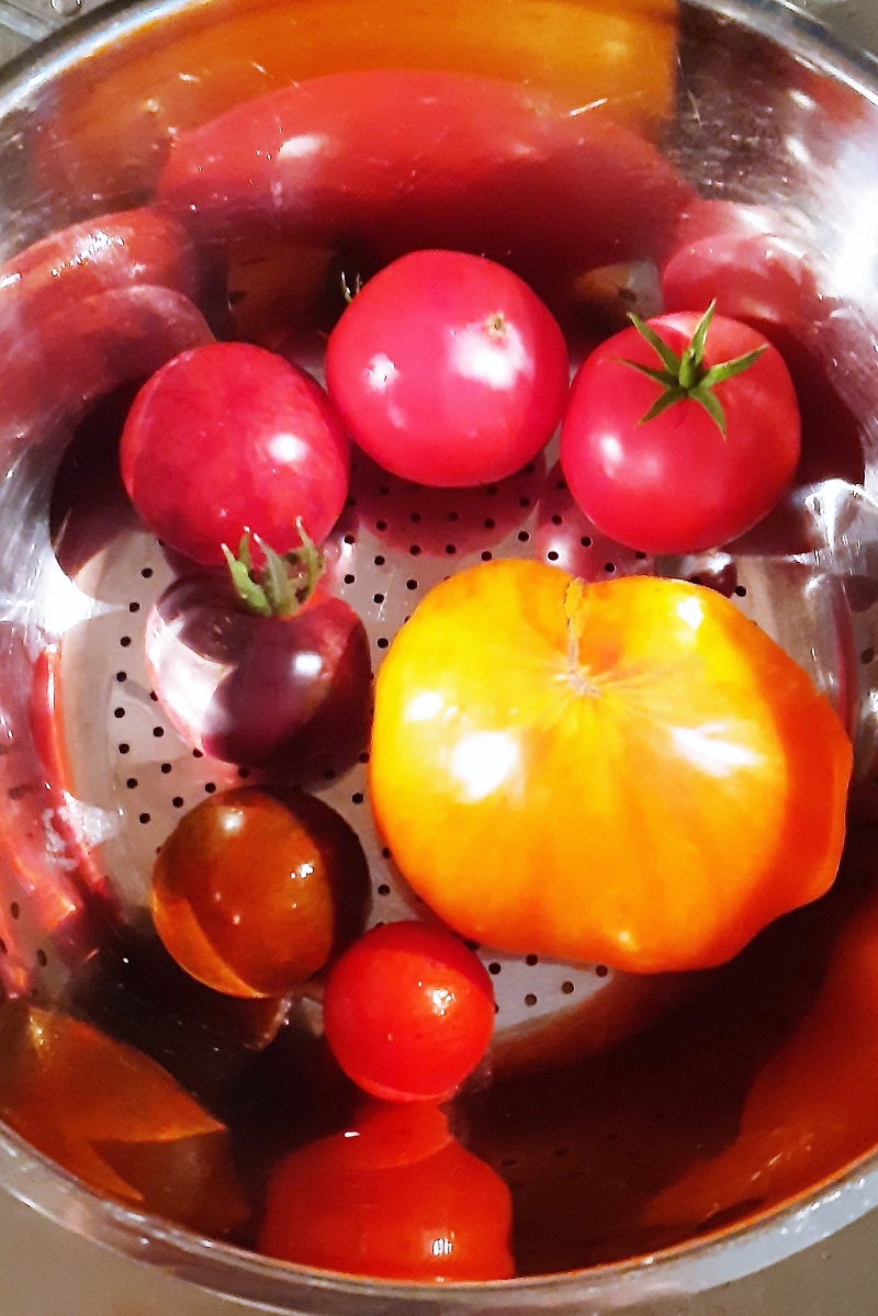 CurryKetchup selber machen kattgards seite!