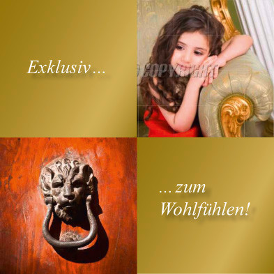 Die Denkmalschutz Immobilie Makler historischer Häuser