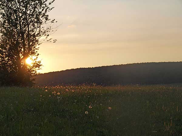 frieden in sich, mit sich und der natur, sonnenuntergang im junilicht