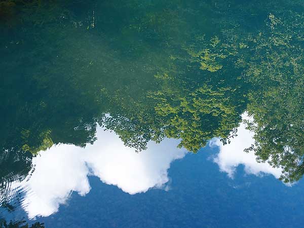 baum- und wolkenspiegelung im wasser des blautopfs in blaubeuren bei ulm